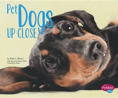 Cover of Pet Dogs Up Close