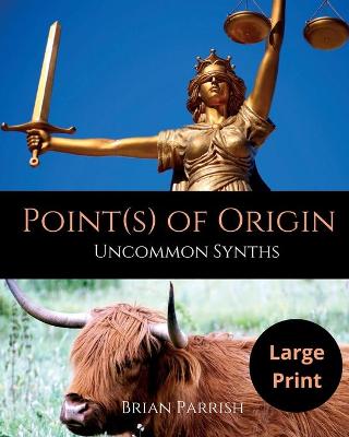Book cover for Point(s) of Origin