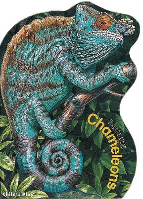 Book cover for Chameleons