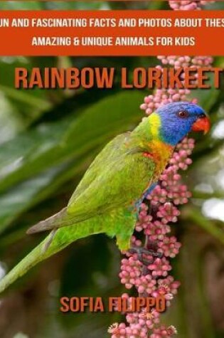 Cover of Rainbow lorikeet