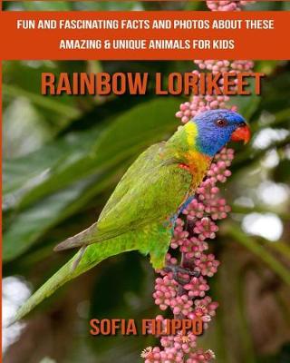 Book cover for Rainbow lorikeet