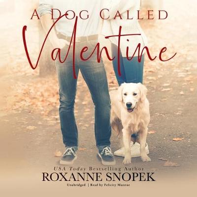 Book cover for A Dog Called Valentine