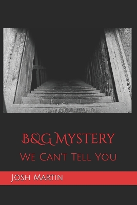 Book cover for B&G Mystery