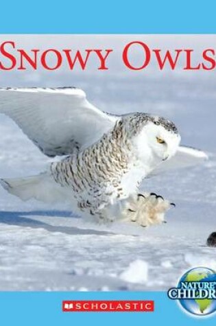 Cover of Snowy Owls