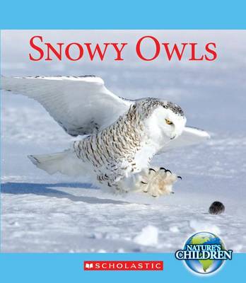 Book cover for Snowy Owls