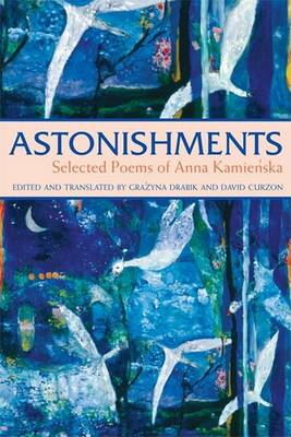 Book cover for Astonishments