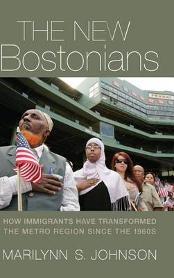 Book cover for The New Bostonians