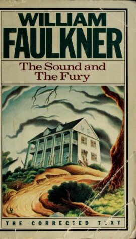 Book cover for Sound & Fury-Correct