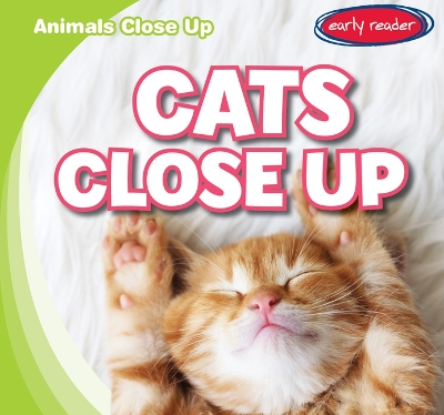 Book cover for Cats Close Up