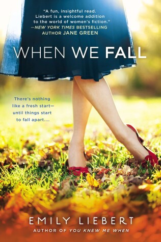 Book cover for When We Fall