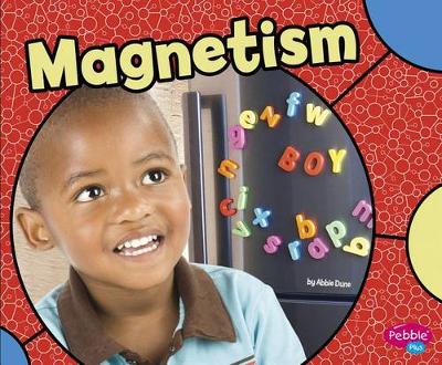 Book cover for Magnetism