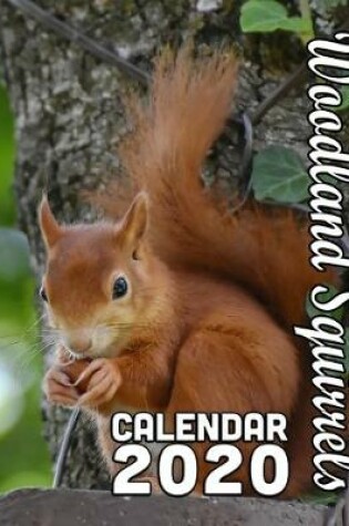 Cover of Woodland Squirrels Calendar 2020
