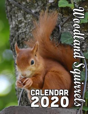 Book cover for Woodland Squirrels Calendar 2020