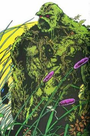 Cover of Saga Of The Swamp Thing HC Book 02