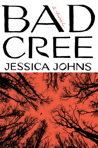 Book cover for Bad Cree