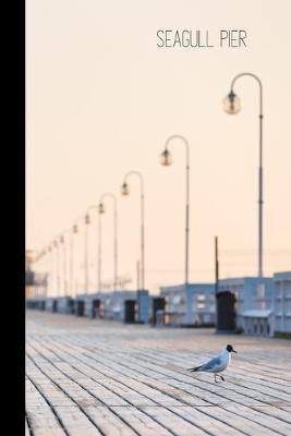 Book cover for seagull pier