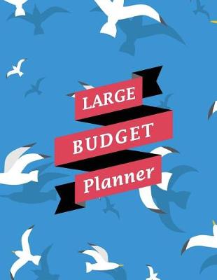 Book cover for Large Budget Planner