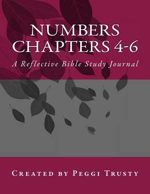 Book cover for Numbers, Chapters 4-6