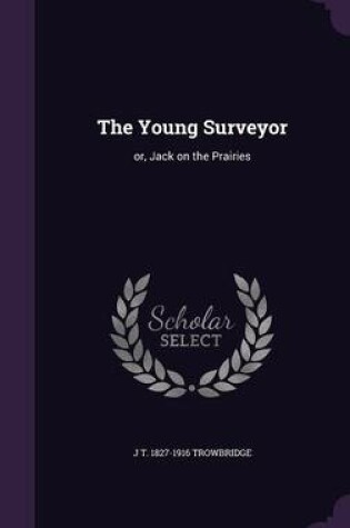 Cover of The Young Surveyor