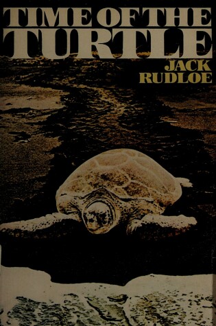 Cover of Rudloe Jack : Time of the Turtle (Pbk)