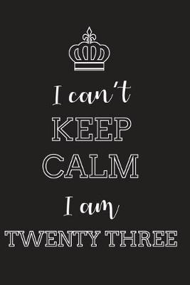 Book cover for I Can't Keep Calm I Am Twenty Three