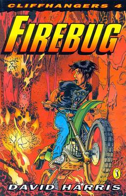 Book cover for Firebug