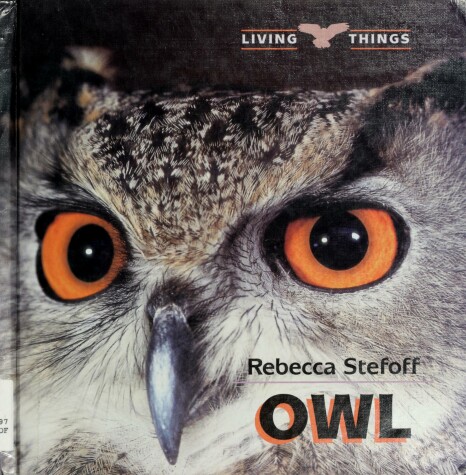 Cover of Owl