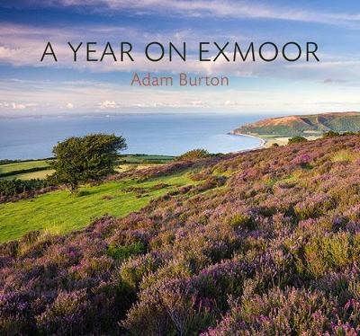 Book cover for A Year on Exmoor