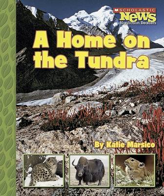 Book cover for A Home on the Tundra