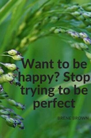 Cover of "Want to be happy? Stop trying to be perfect."