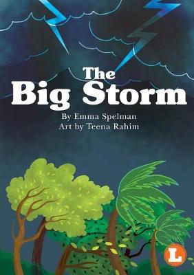 Book cover for The Big Storm