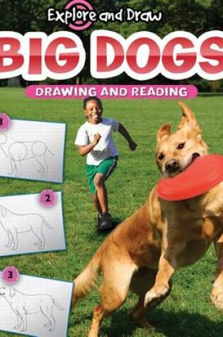 Cover of Big Dogs, Drawing and Reading