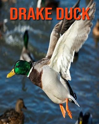 Book cover for Drake Duck