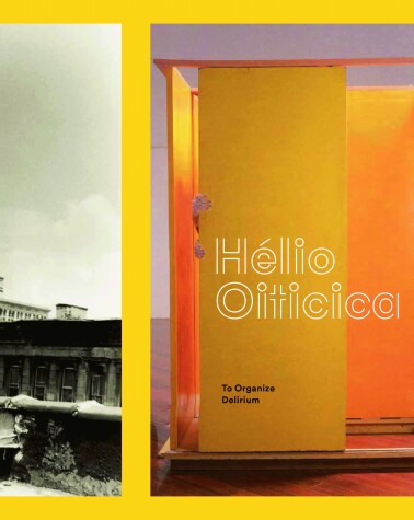 Book cover for Hélio Oiticica