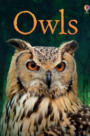 Cover of Owls