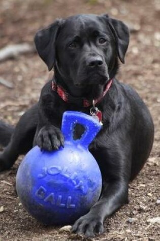 Cover of 2020 Daily Planner Black Labrador Retriever Dog Poses Favorite Toy 388 Pages