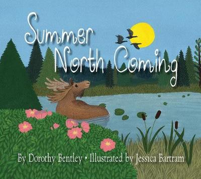 Book cover for Summer North Coming