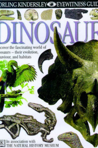 Cover of DK Eyewitness Guides:  Dinosaur