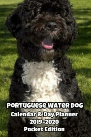 Cover of Portuguese Water Dog Calendar & Day Planner 2019-2020 Pocket Edition