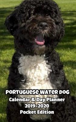 Book cover for Portuguese Water Dog Calendar & Day Planner 2019-2020 Pocket Edition