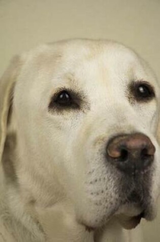 Cover of My Labrador Retriever Notebook