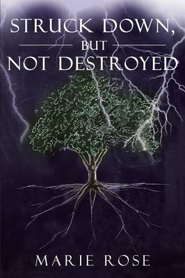 Book cover for Struck Down, But Not Destroyed