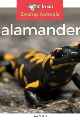 Cover of Salamanders