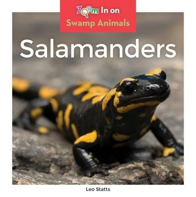 Book cover for Salamanders