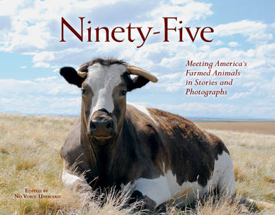 Book cover for Ninety-Five