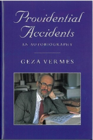 Cover of Providential Accidents