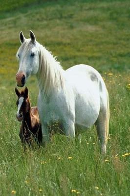 Book cover for Journal Mare Foal Tall Grass Equine Horse