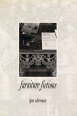 Cover of Furniture Fictions