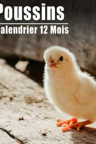 Cover of Calendrier 2021 Poussins