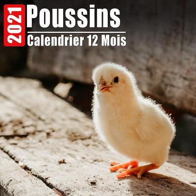 Book cover for Calendrier 2021 Poussins